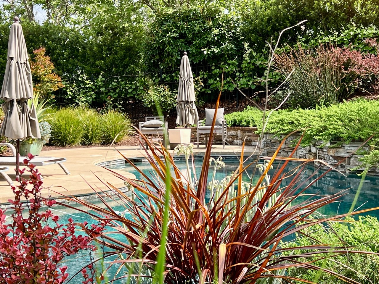 2634 Casalino Court