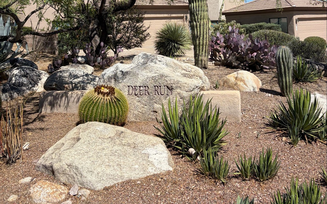 Deer Run at Ventana Canyon