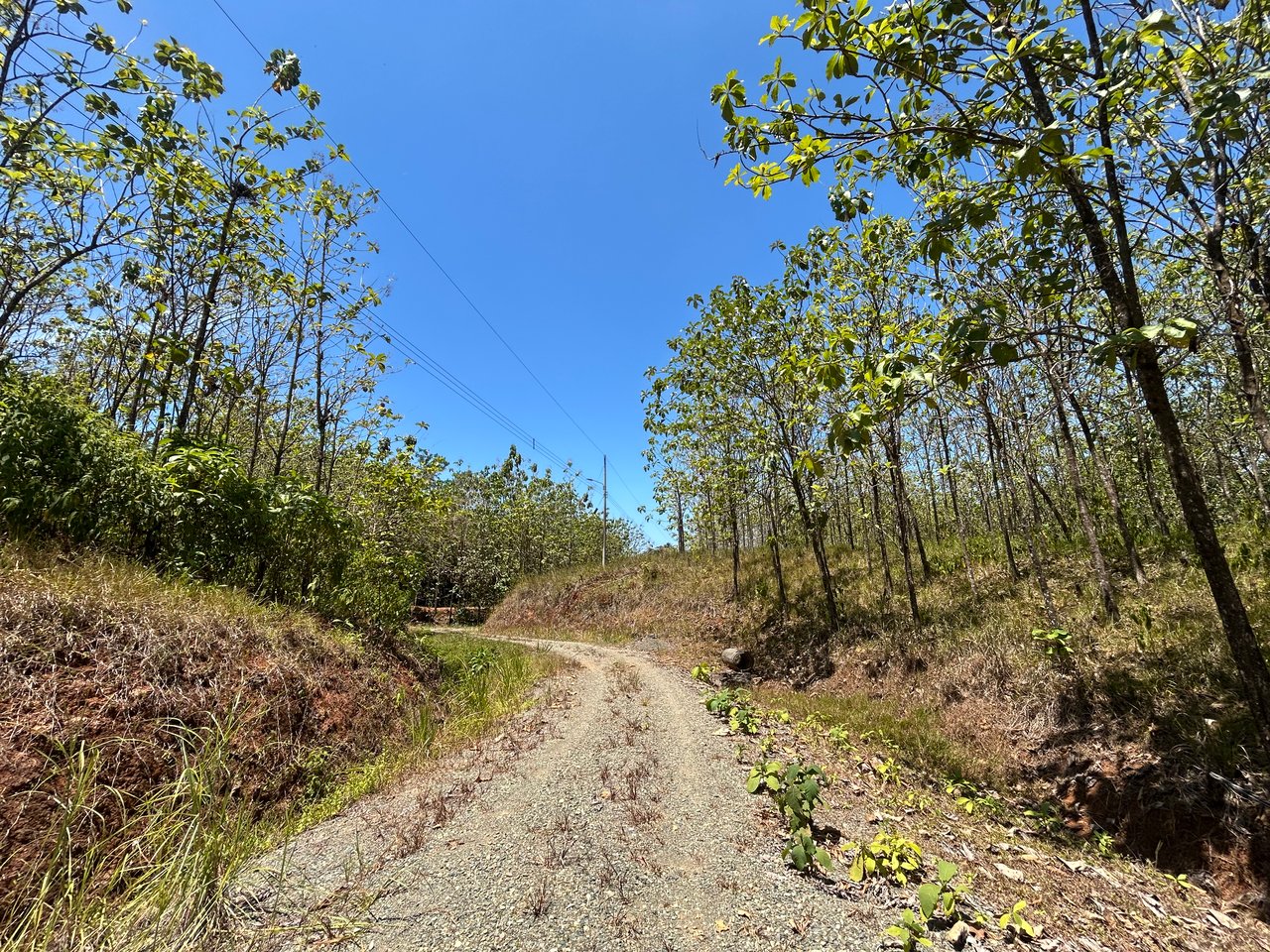 Prime 1.24-Acre Land in Matapalo / San Andrés – Ready to Build