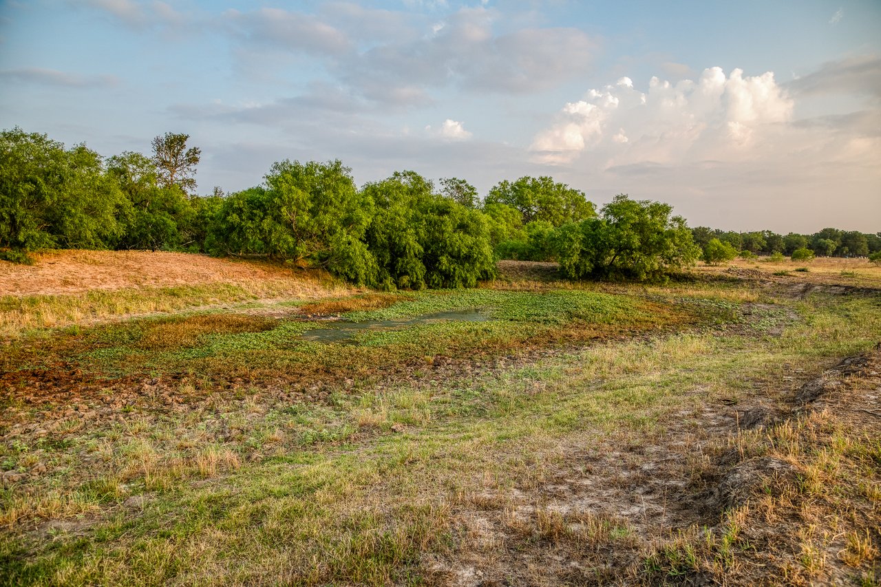 Revival Ranch TX
