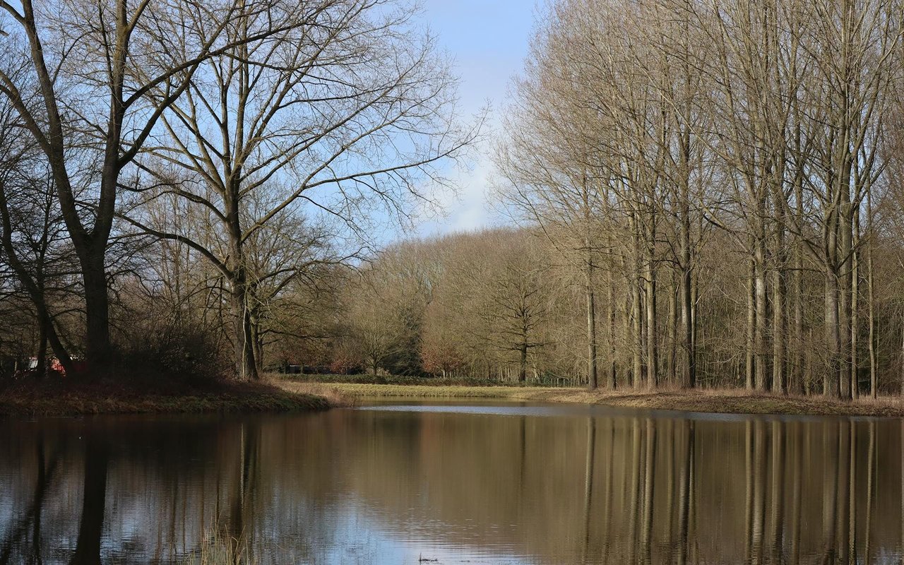 Peacock Hill