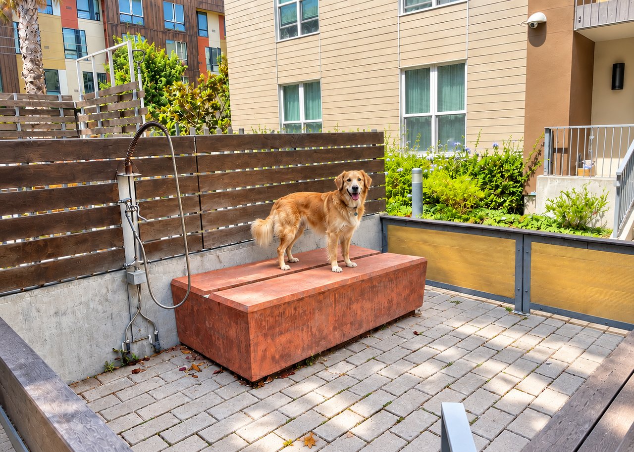 A Rare Off Market Opportunity In Sunny Bayview