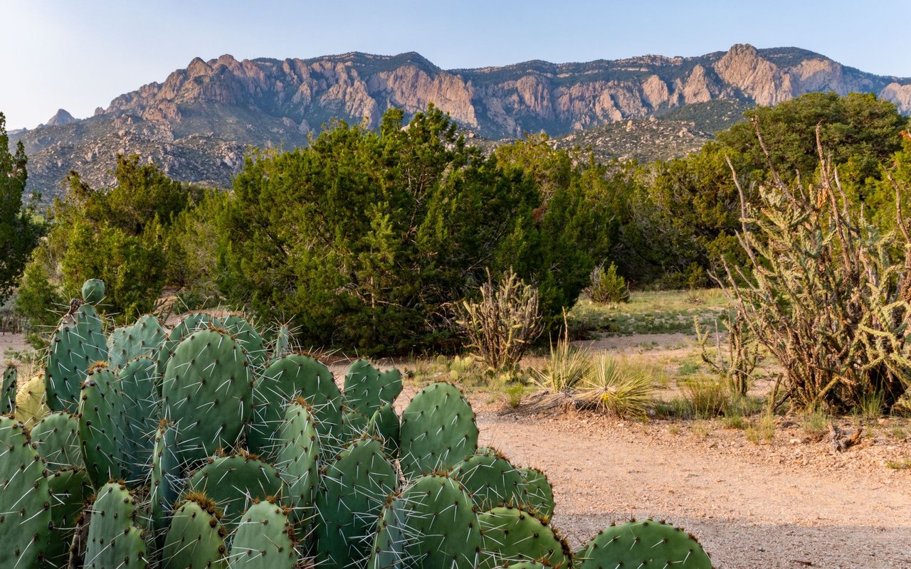 Desert Foothills