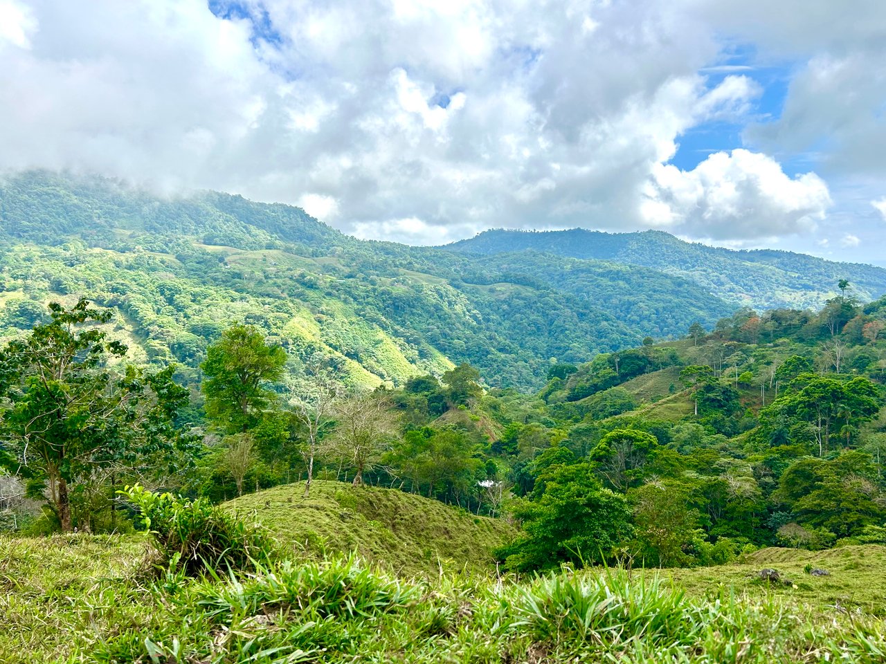 Gorgeous Land in San Luis Morete - Uvita - Over 17 Acres
