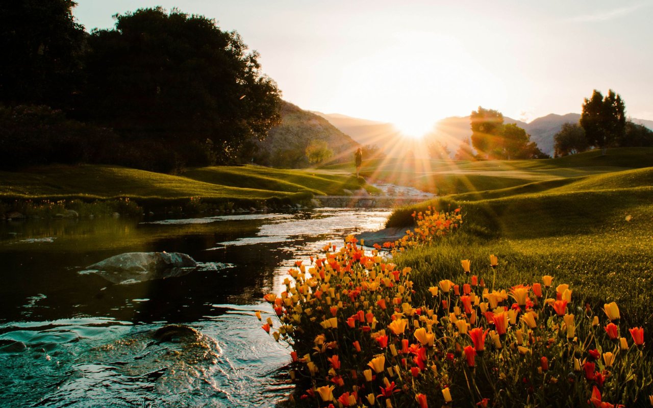 The Coachella Valley Rennie Review | April 2025