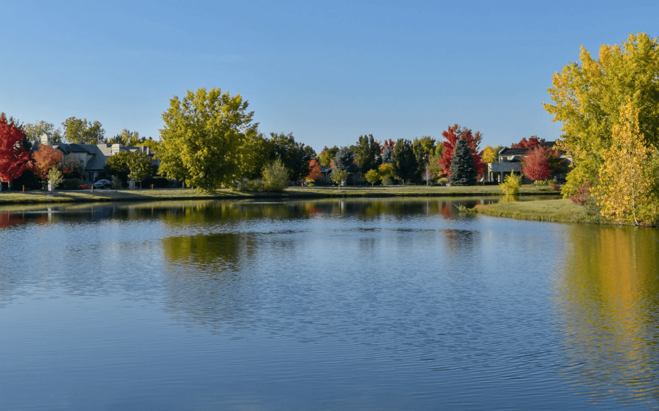 River Woods