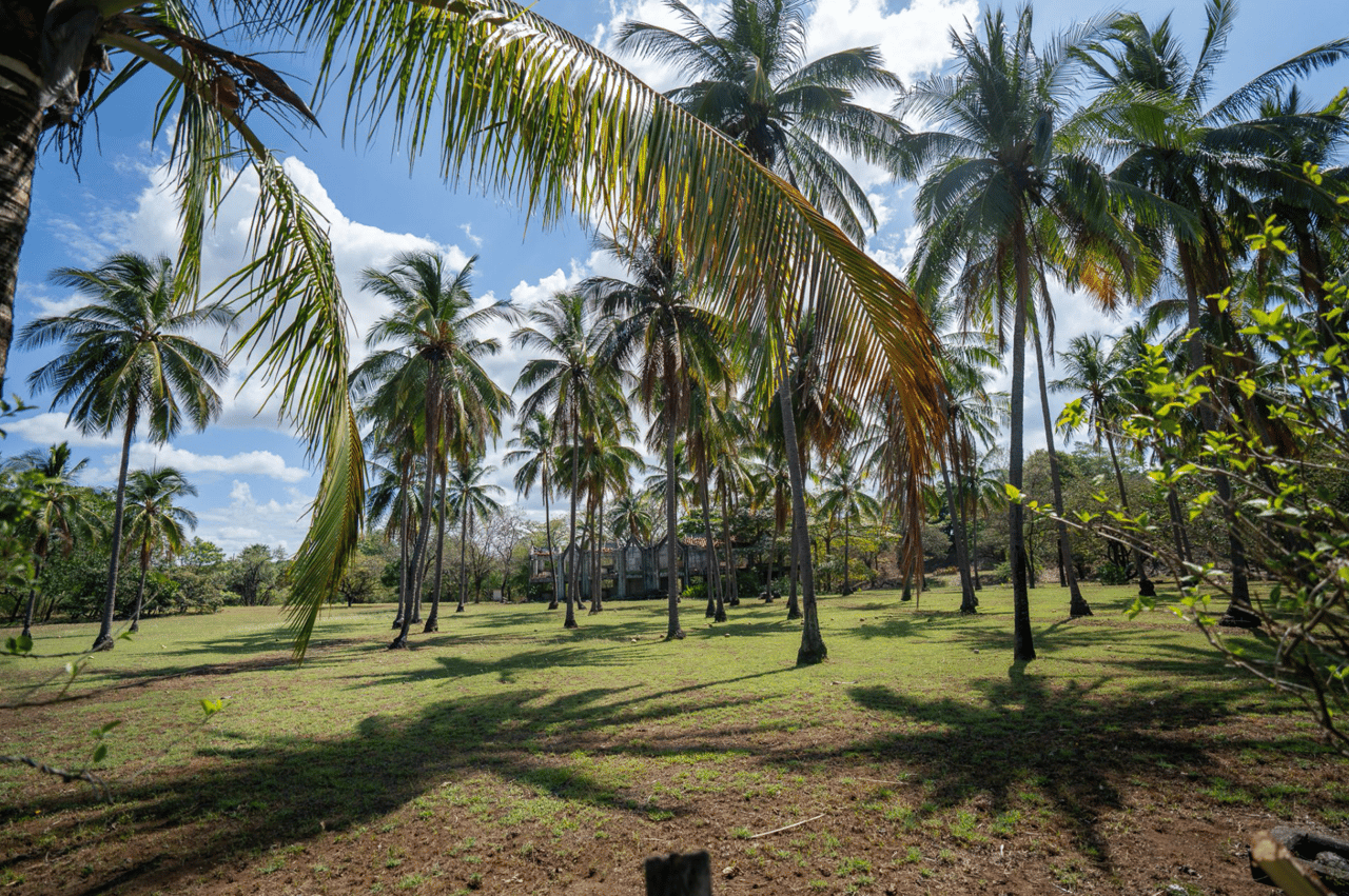 Exclusive 13 Acre Titled Beachfront Estate - Playa Junquillal