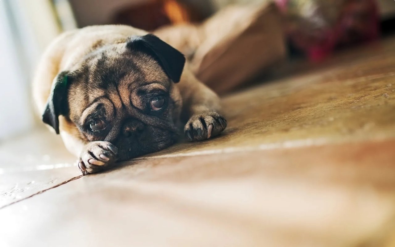 5 Problems Your Home Inspector May Miss