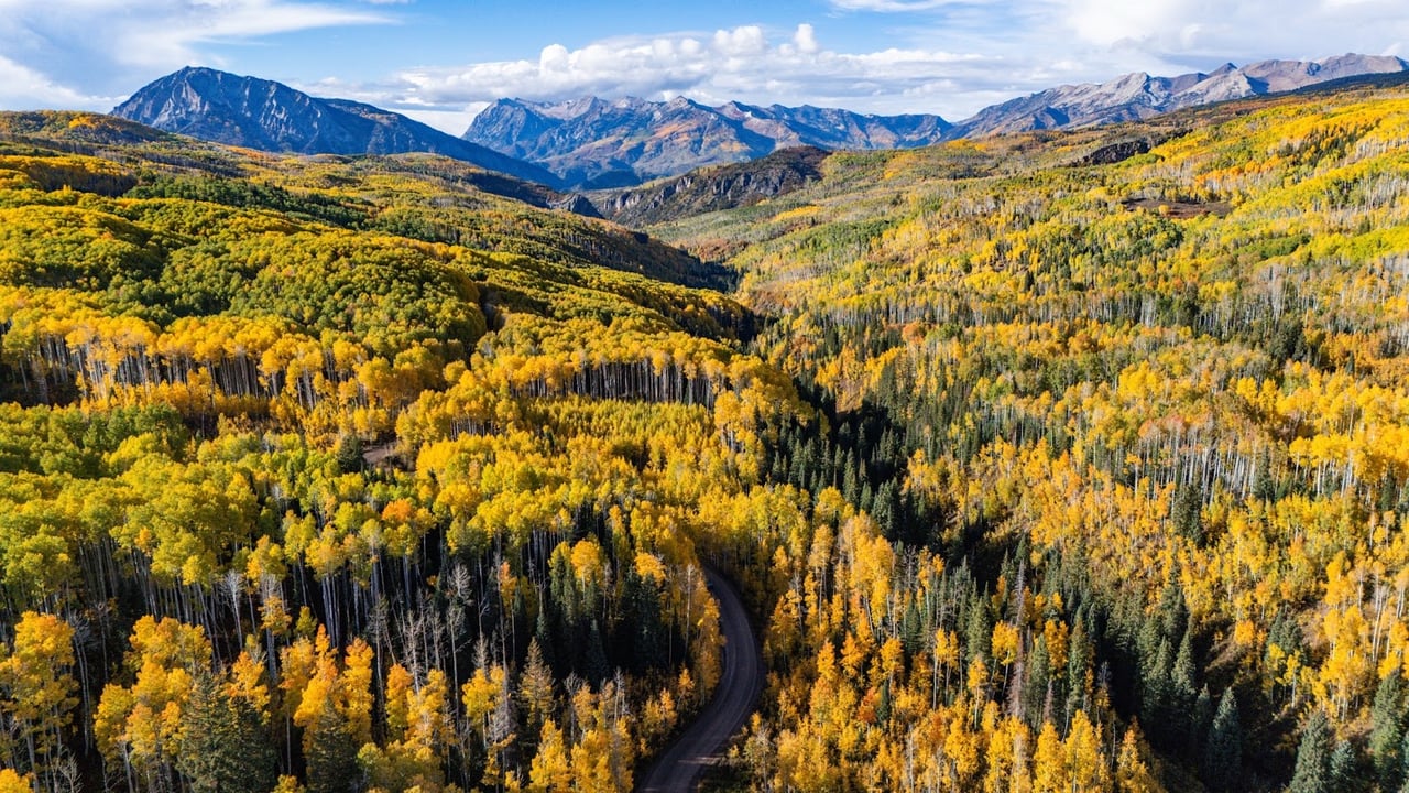 Kebler Pass in the Fall: Colorado’s Golden Wonderland