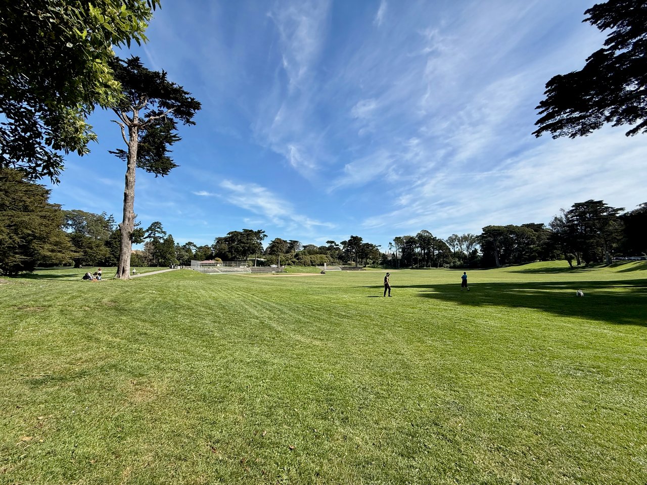 District 2 – Sunset