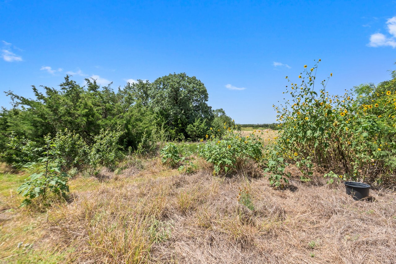 2529 Choctaw Pl. Leander, TX 78641