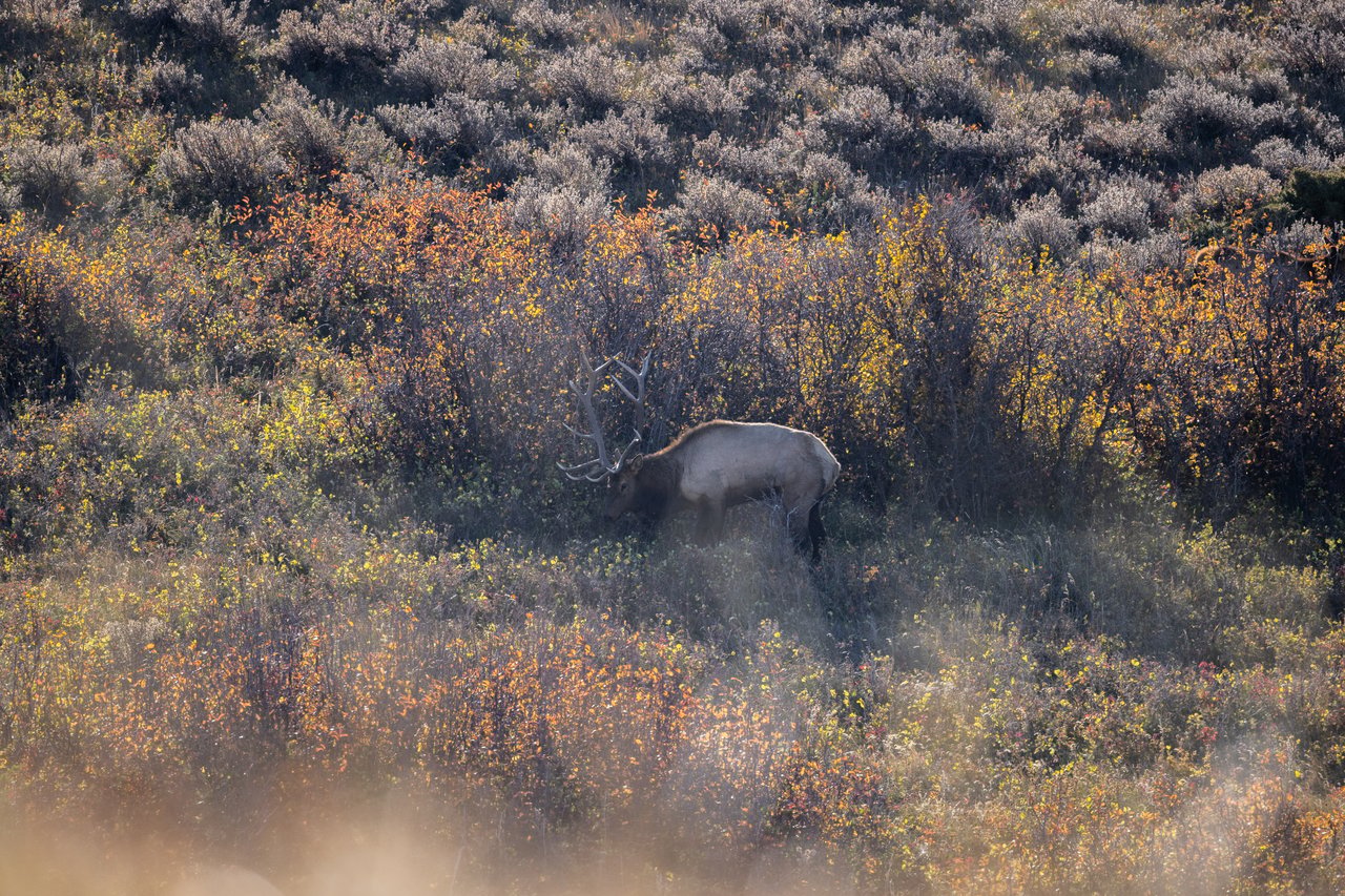 Box Elder Ranch