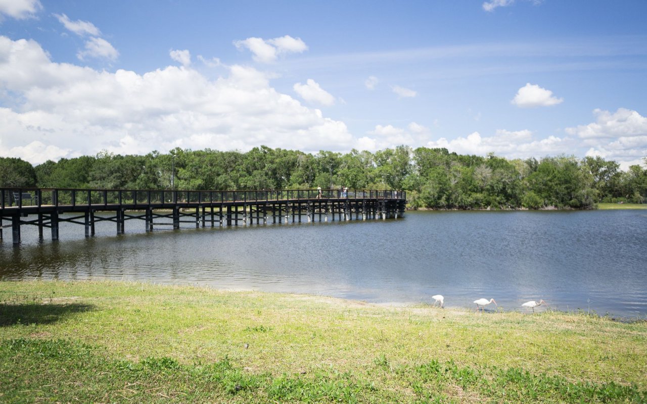 Carrollwood / Northdale