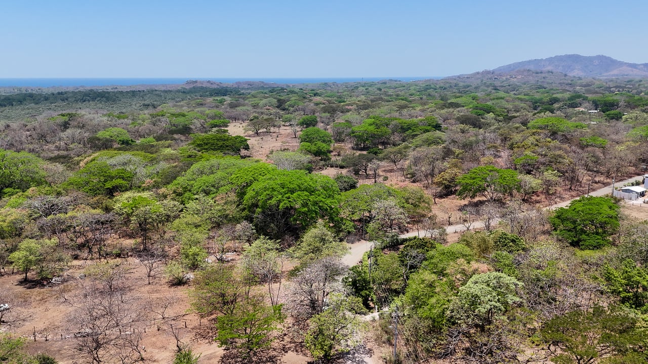 Casa Mango | Charming 3-Bed Surf Home on a Large Lot Just Minutes from Playa Grande