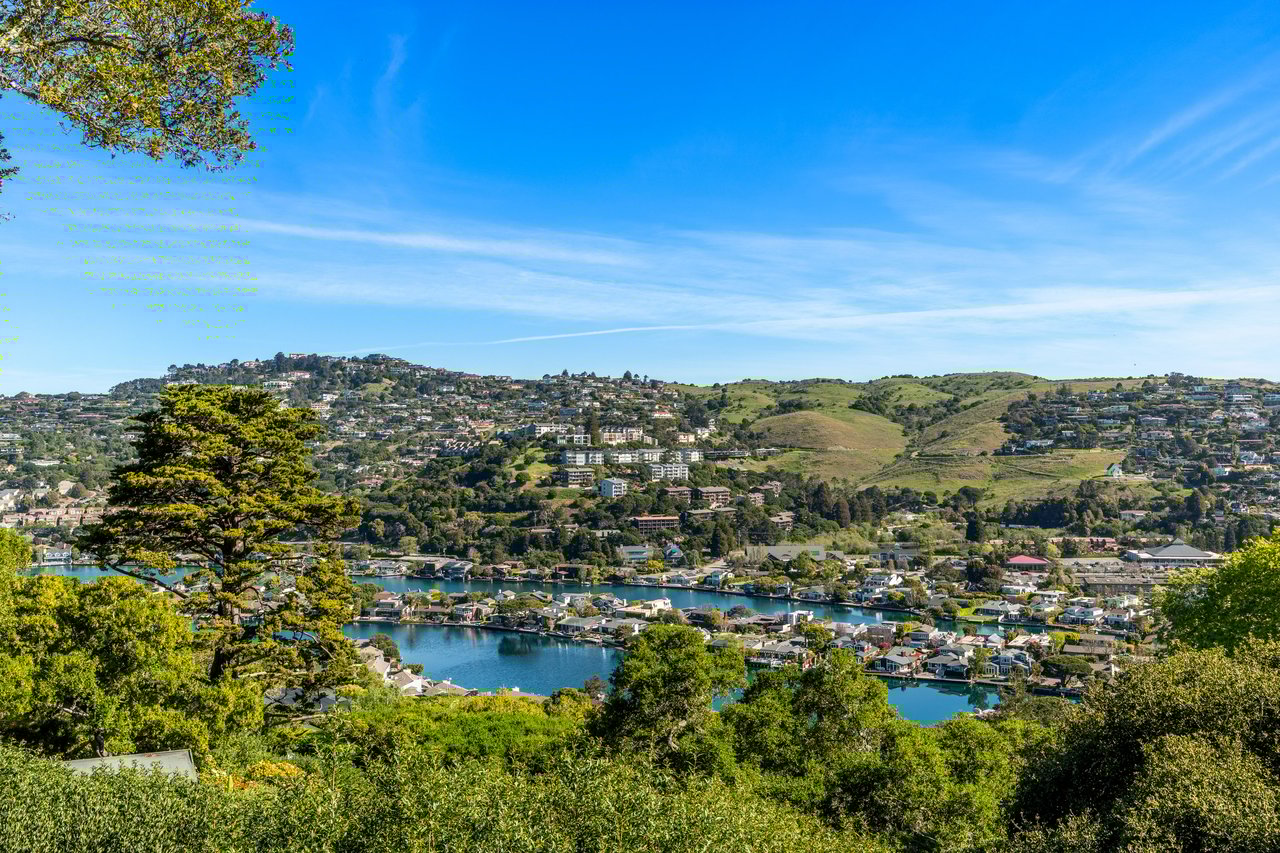 Chic and Stylish on Belvedere Island