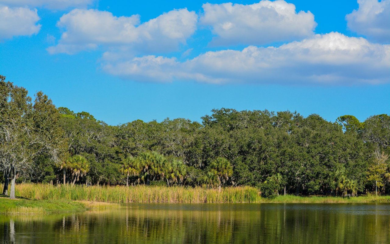 Clam Pass Park beach and mangrove boardwalk in Naples, Florida