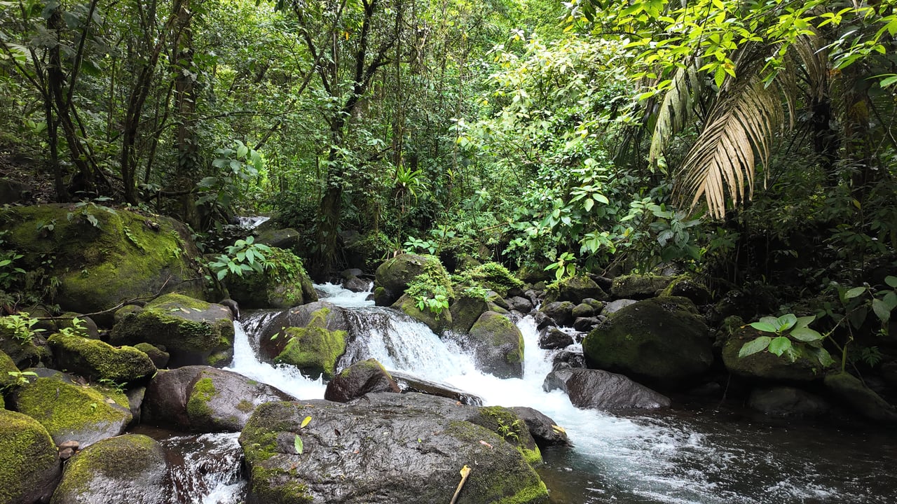 10.5 Hectares Rio Celeste - Nature Lover's Dream - Bijagua 