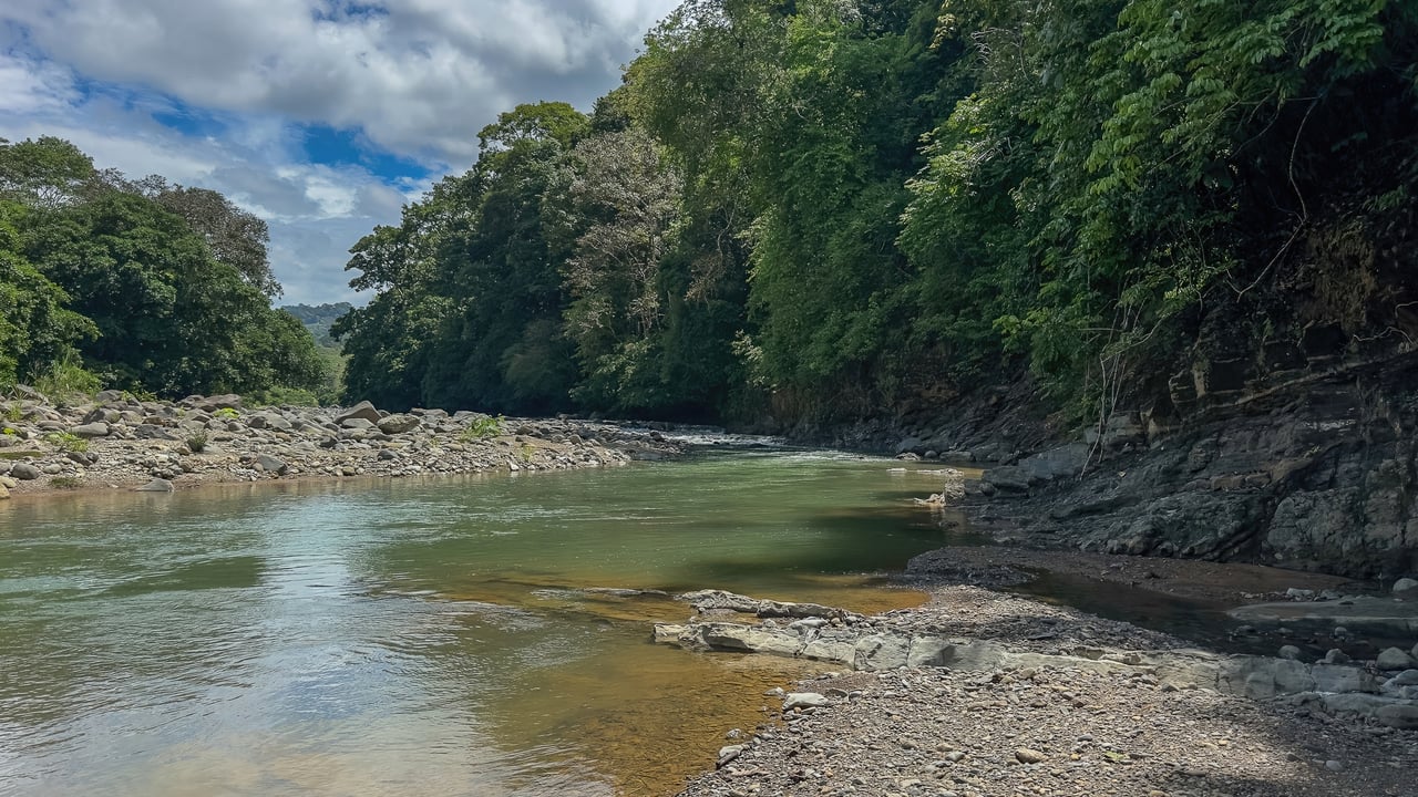 60+ Hectares in Platanillo | Own Your Own Mountain in Costa Rica
