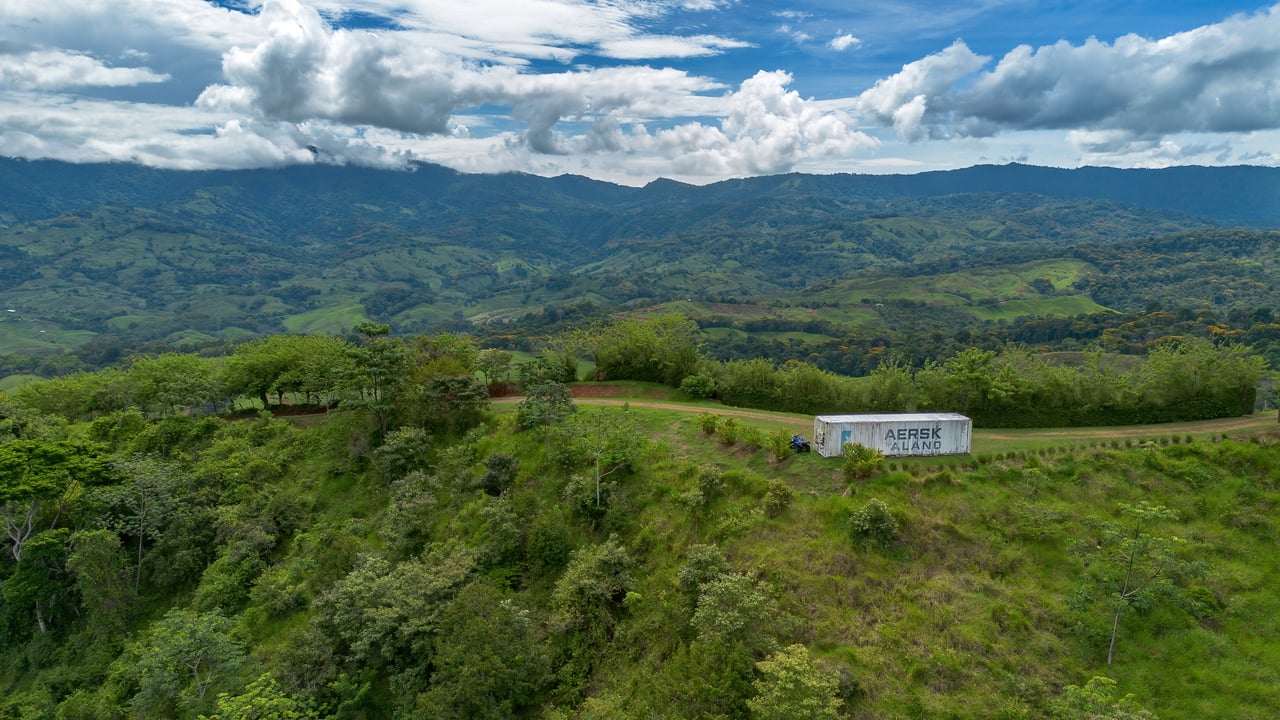 60 Hectares in Platanillo 