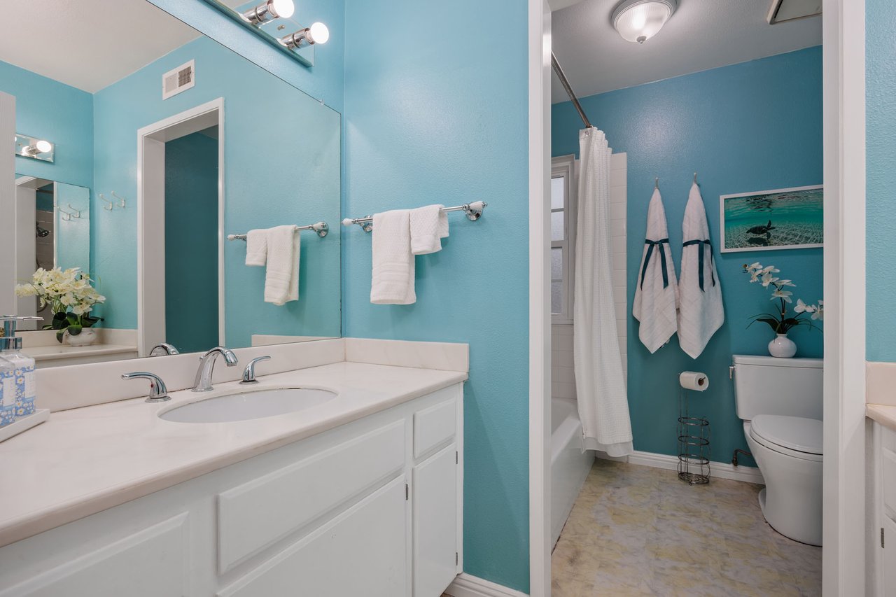 3975 San Gregorio Way