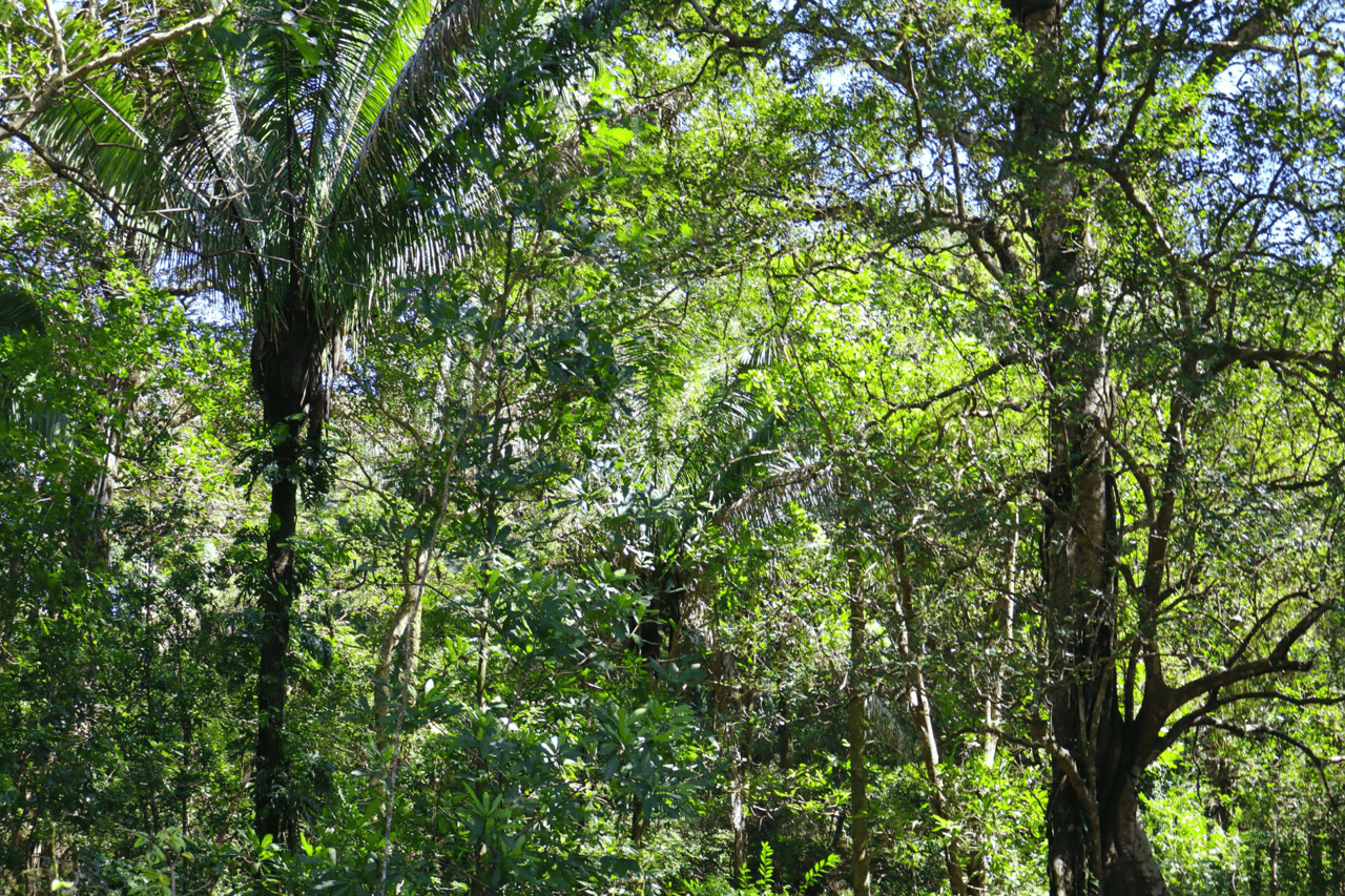 Eco Sanctuary In Playa Marbella - 250 Acre Riverfront