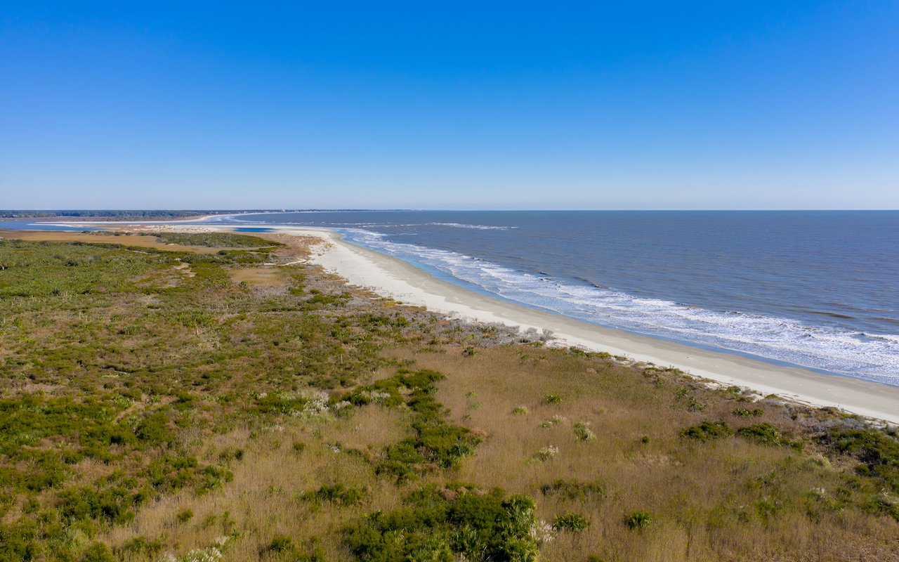William Means Guide to Lowcountry Beaches