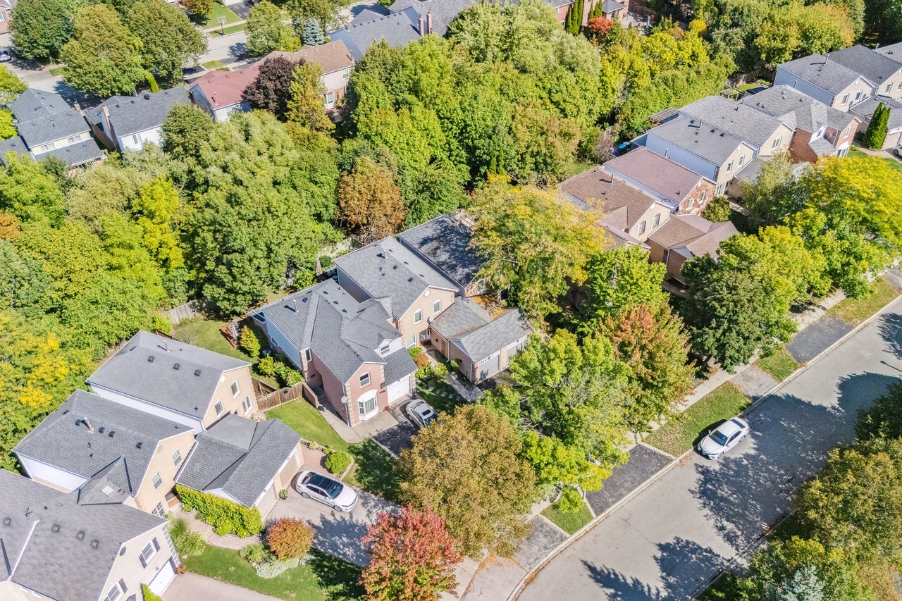 Updated Link Home on Ravine Lot