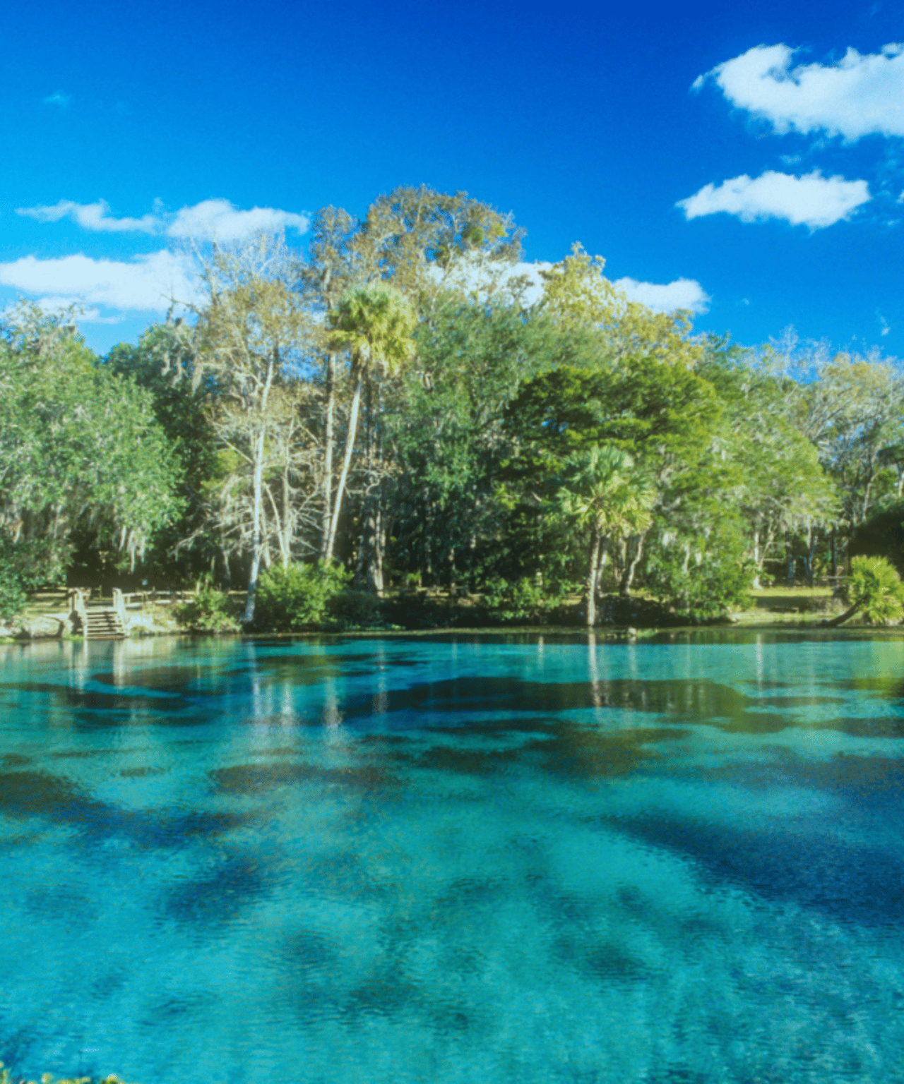 The Zephyrhills Relocation Guide