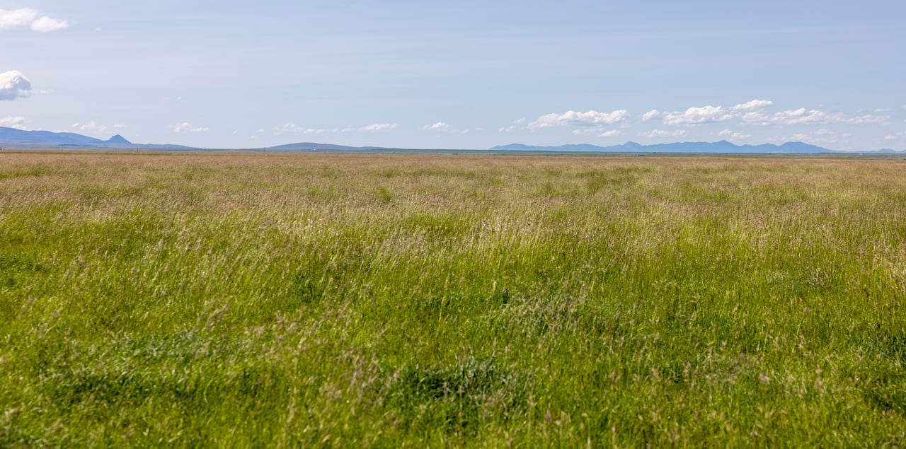 Hauck Coulee Ranch