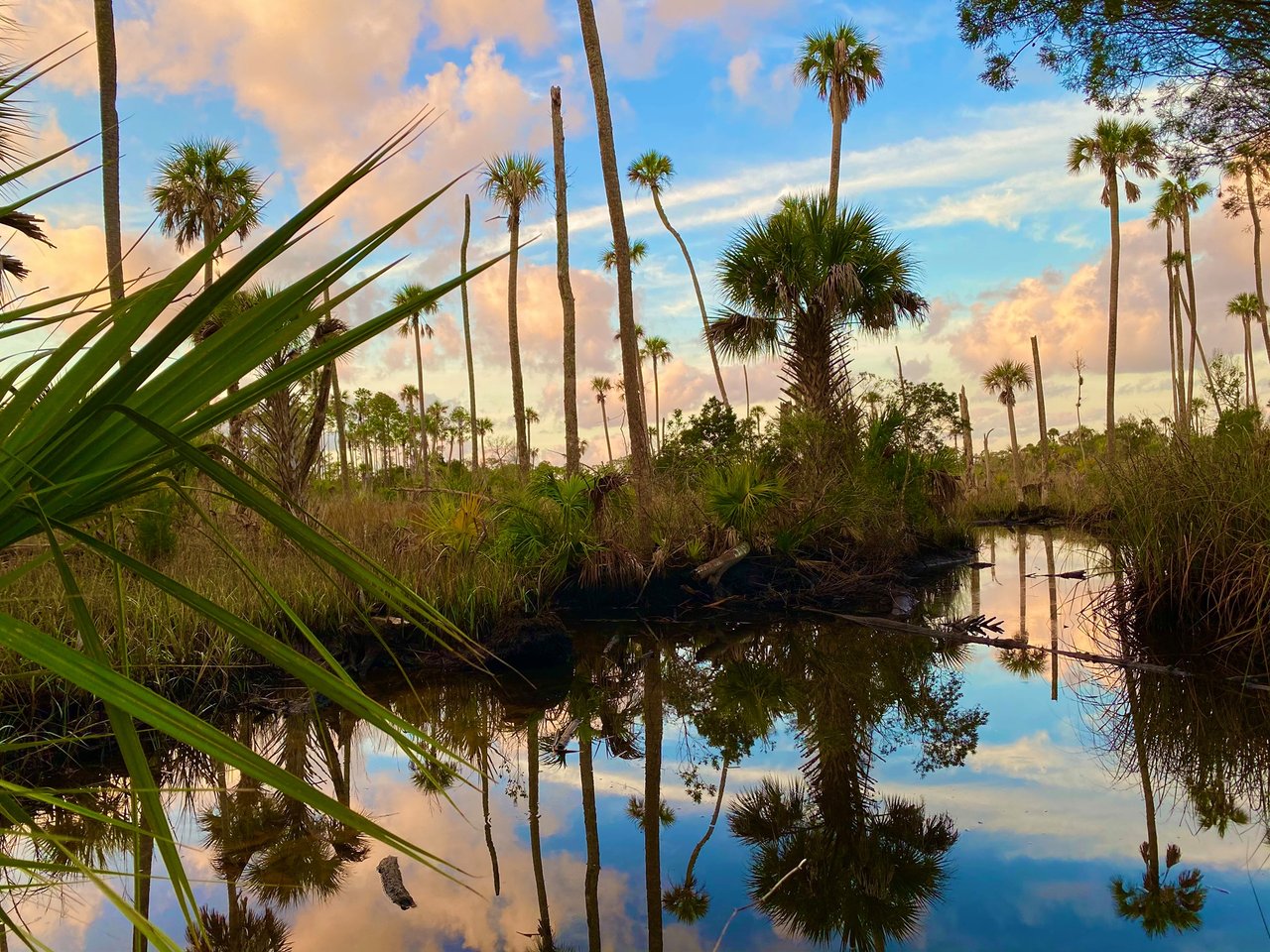 Nature Coast
