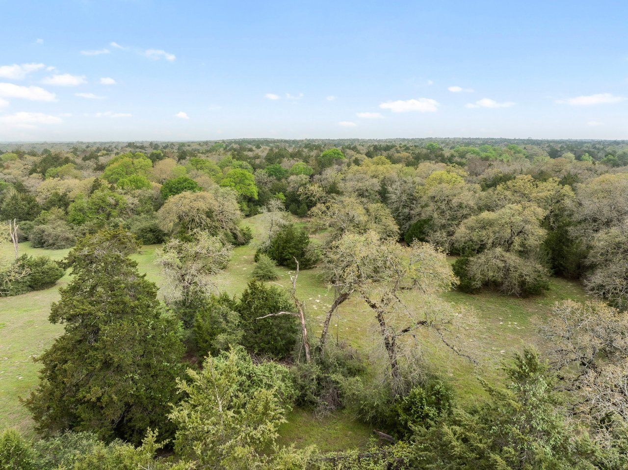 Acreage Estates on Pauline