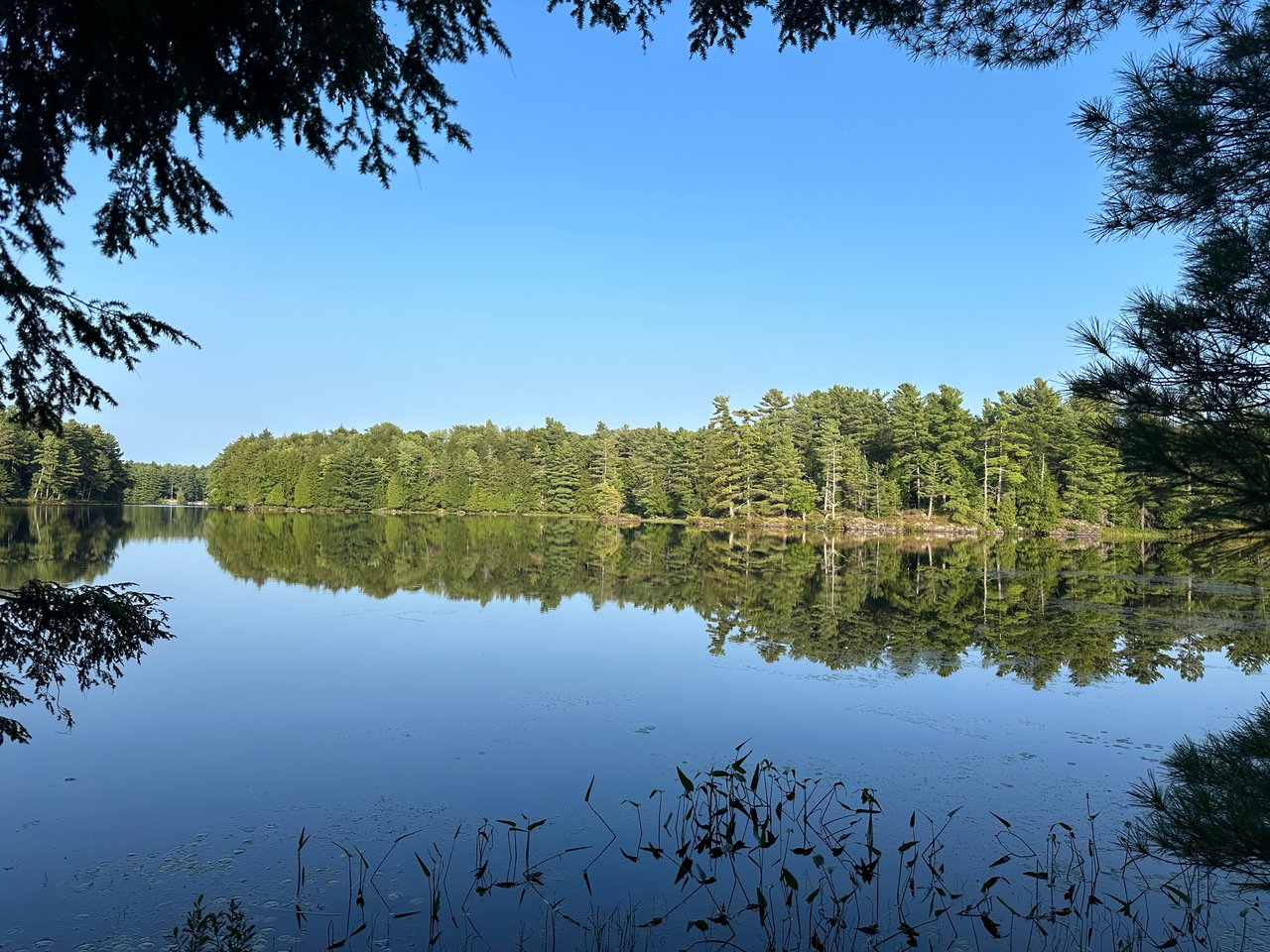 Camel Lake
