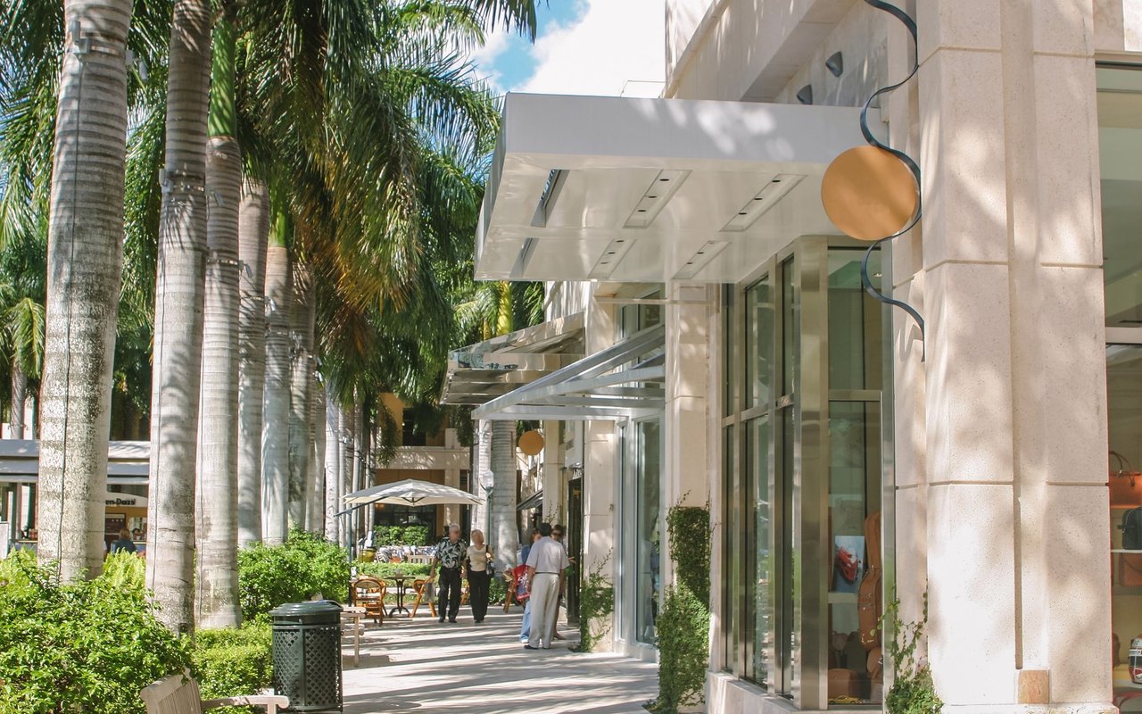 Palm-lined retail promenade with glass storefronts, shaded walkways, and pedestrians.