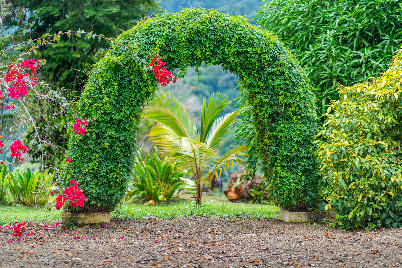 Luxury 4-Bed Villa with Ocean Views & Infinity Pool in Ojochal