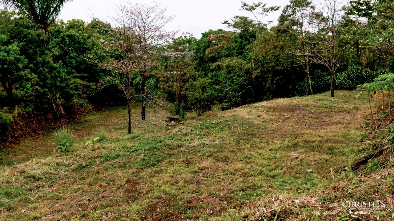 Blossom Hill Parcel in Santa Teresa