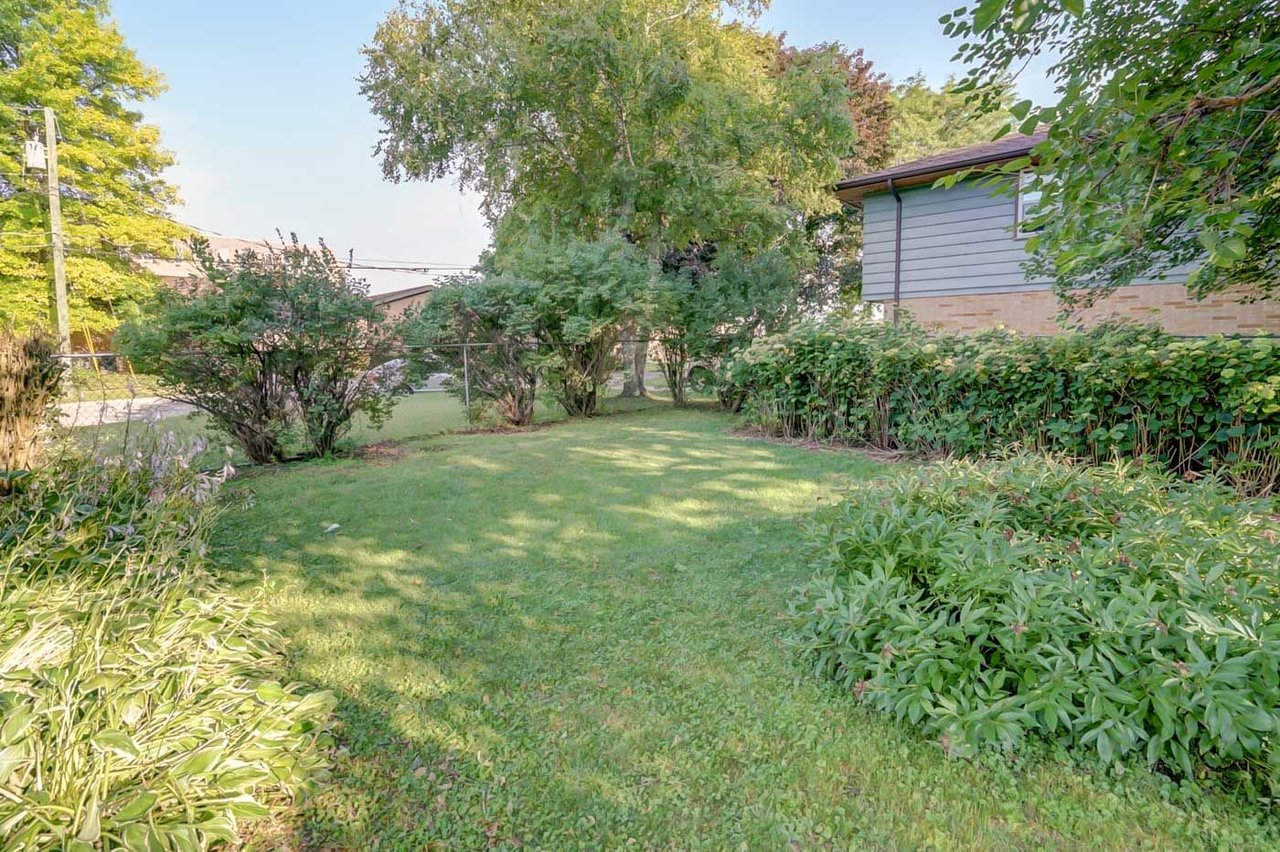 Grassy backyard bordered by dense shrubs and mature trees, with a gray-sided house at the edge.