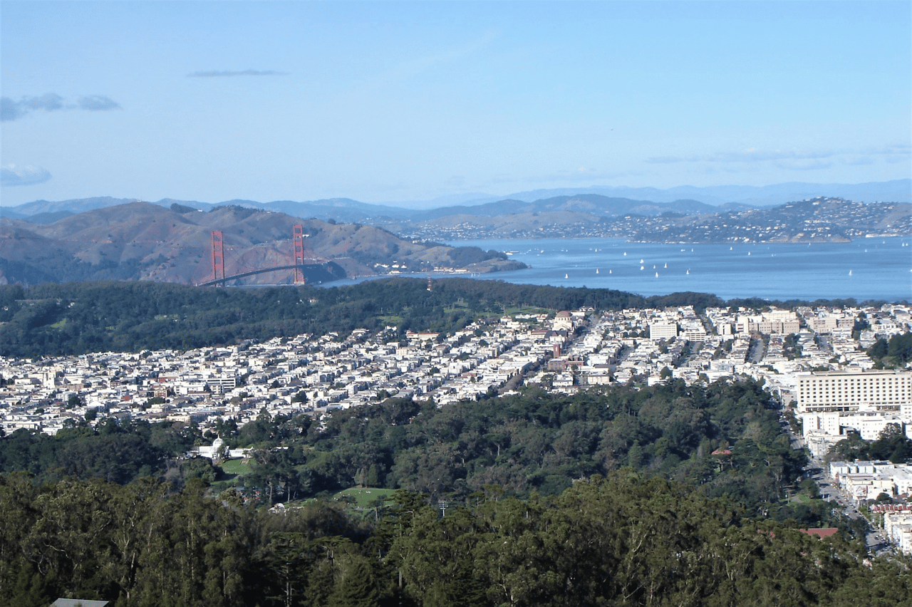 San Francisco Real Estate January 2025 Report