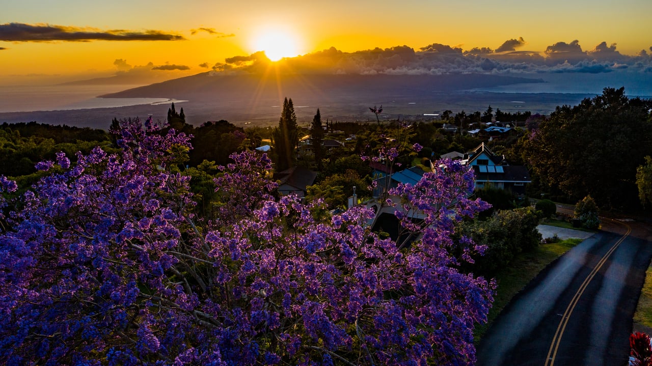 Discovering Upcountry: A Guide to Maui's Luxury Estates in Kula and Makawao