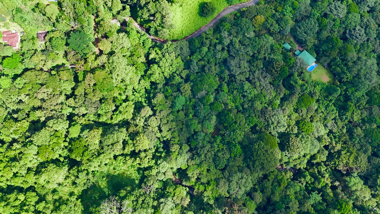 Selva Vista Estate – 5.9 Acres of Wild Beauty