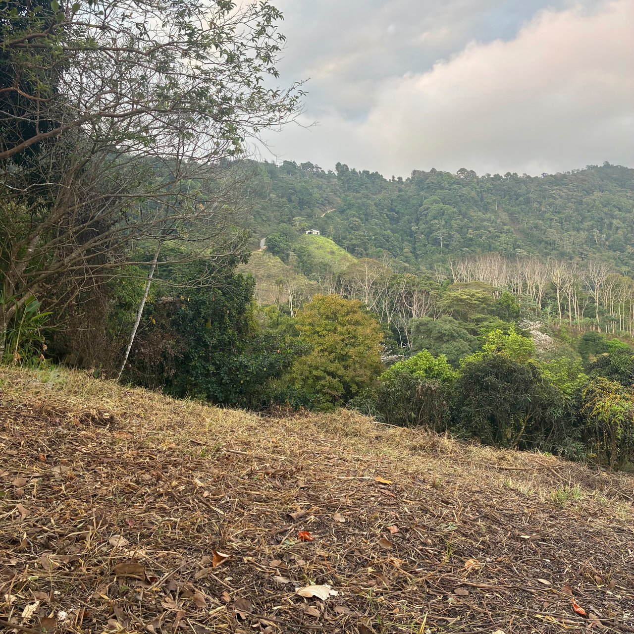 Ocean & Mountain View Lot with Multiple Building Sites-20 Minutes from Uvita