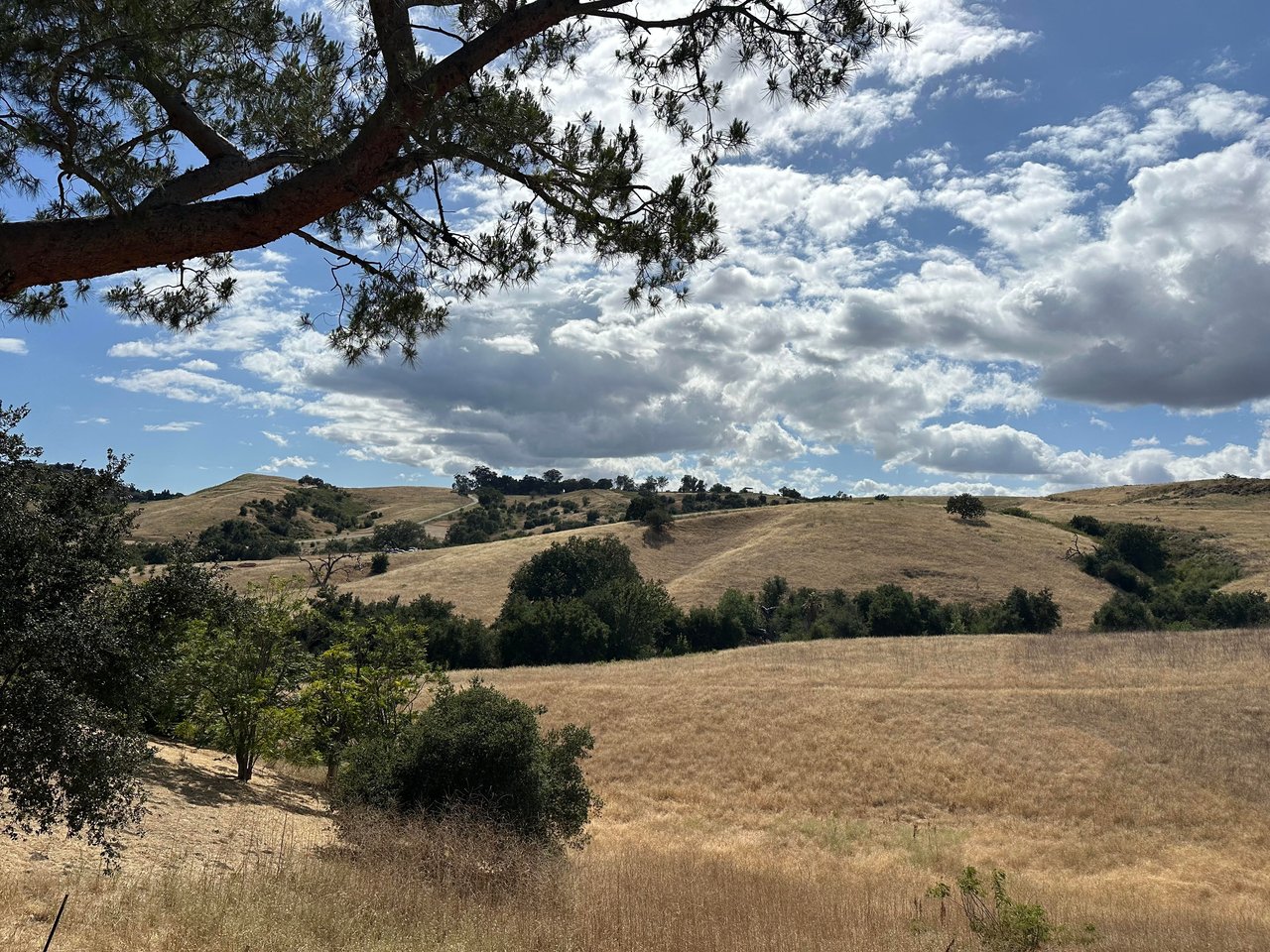 24962 Eldorado Meadow Rd