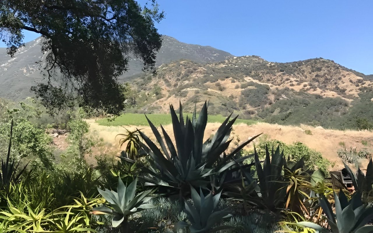 Canyon hills rise behind agave plants and dry grasses.