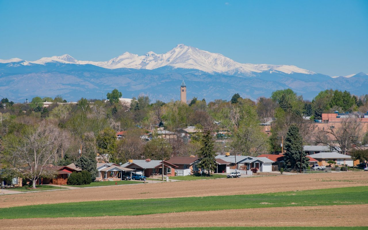 Thornton-Westminster