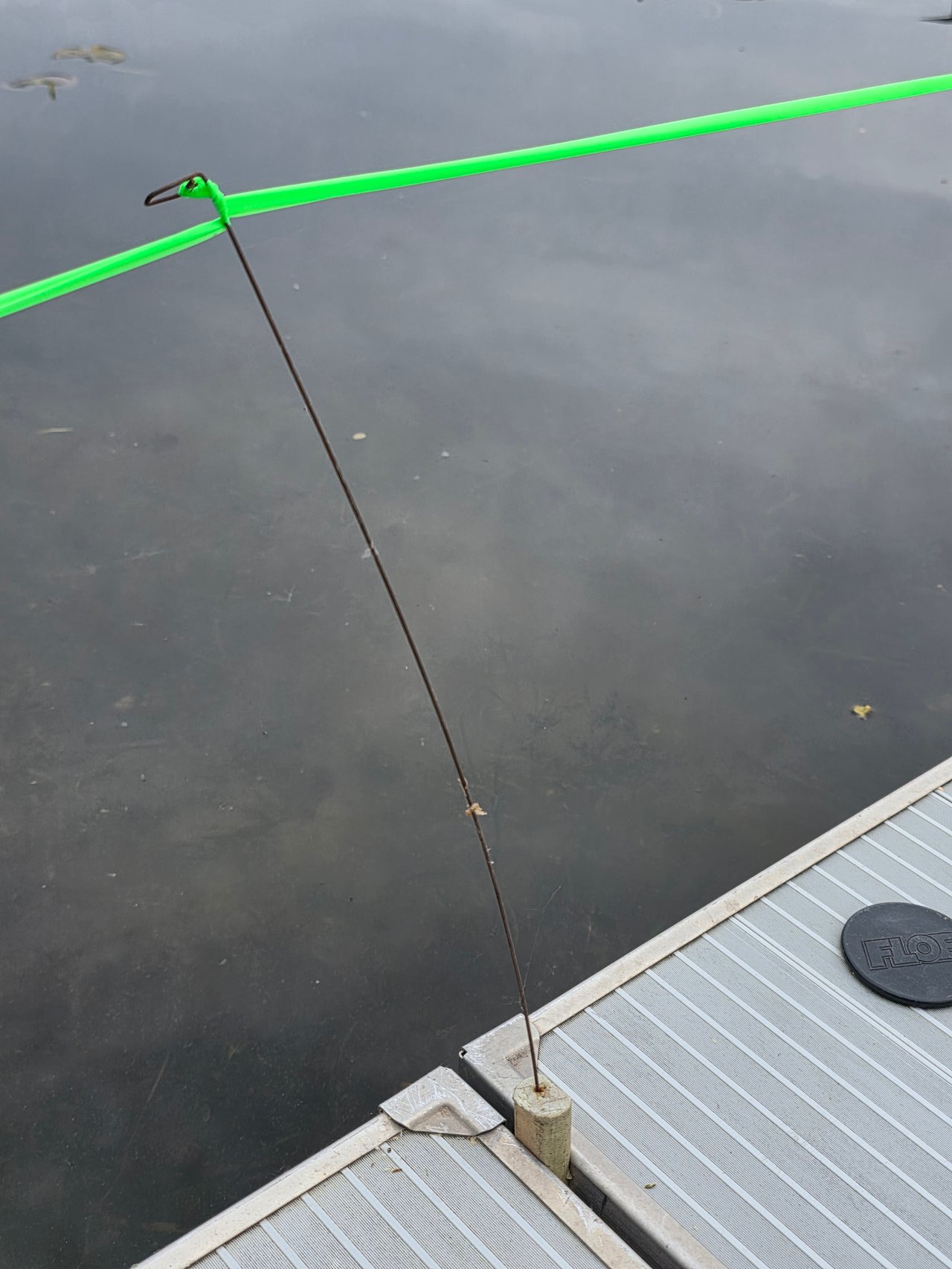 Keeping Ducks and Geese off your Dock