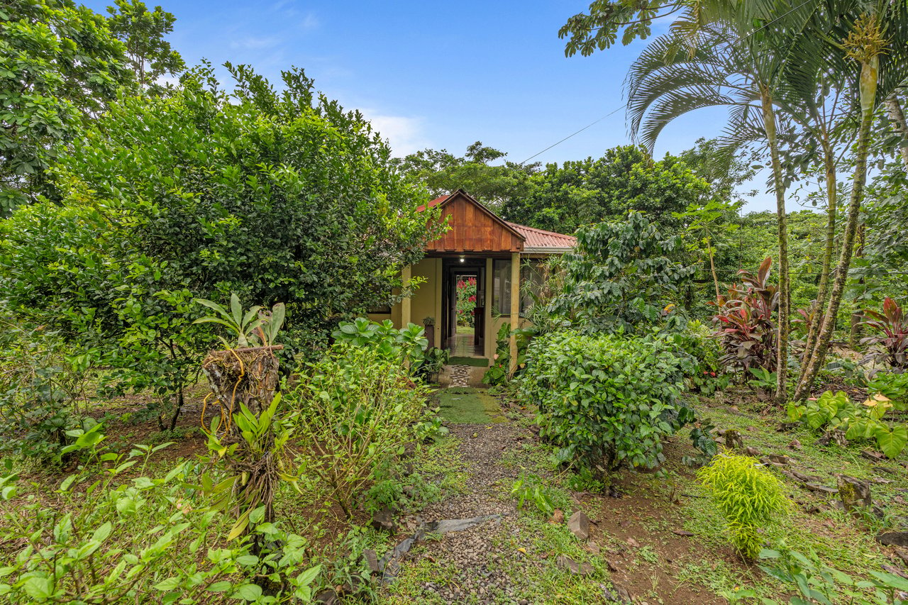 Casa Colibri with two small apartments | Bordered by the Bijagua River and Bijagua Creek.