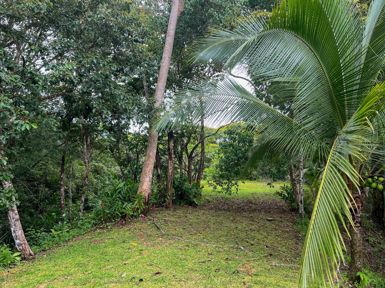 Casa Canto del Río ✨ – A Natural Gem with Modern Comfort in the Heart of the Tropical Jungle