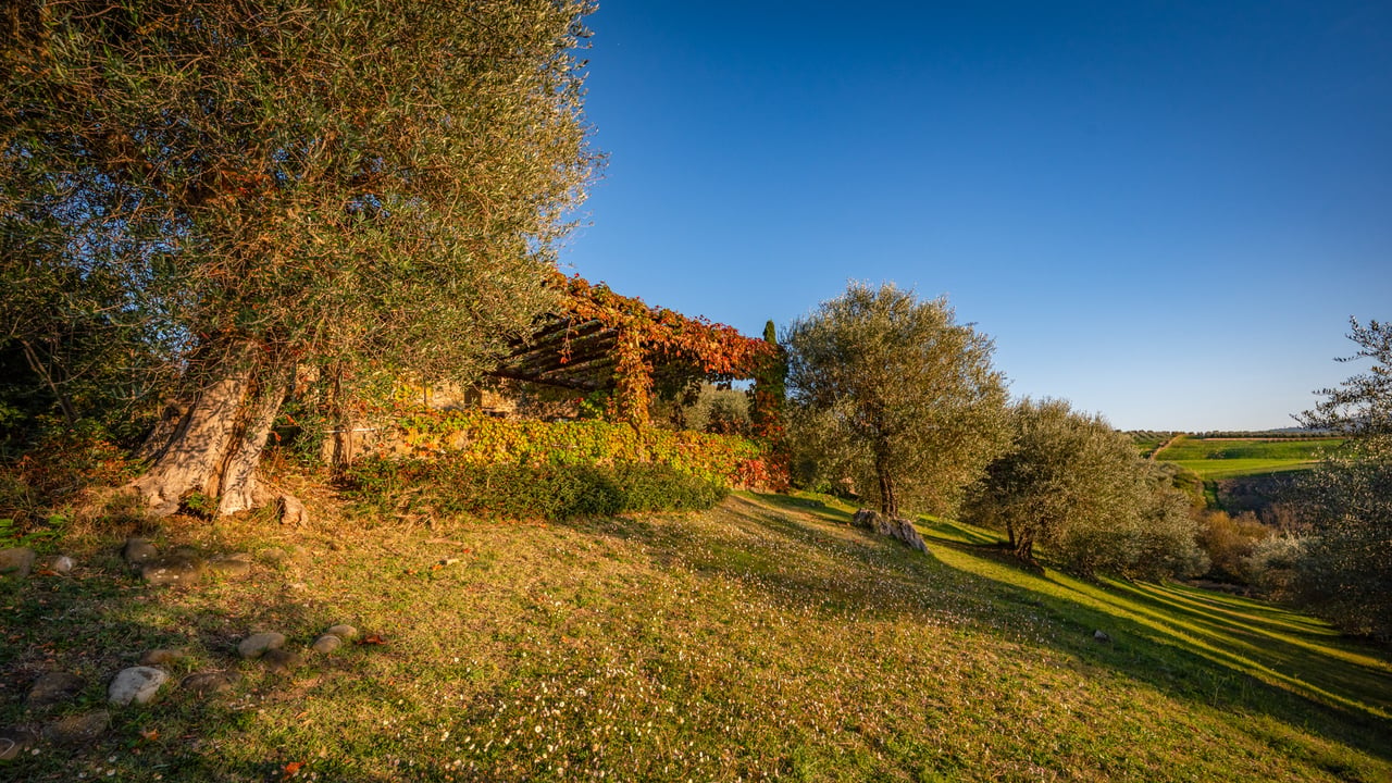 POGGIO COLOMBA