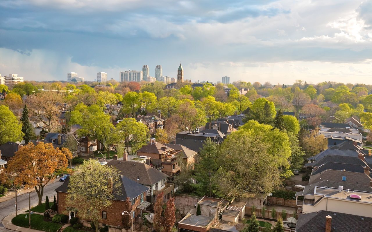Forest Hill