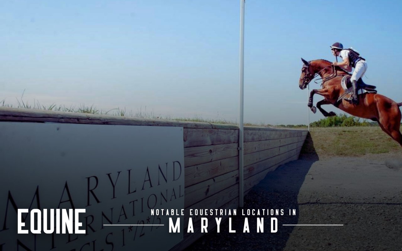 A rider on a chestnut horse jumps a cross-country obstacle beside a Maryland National sign.