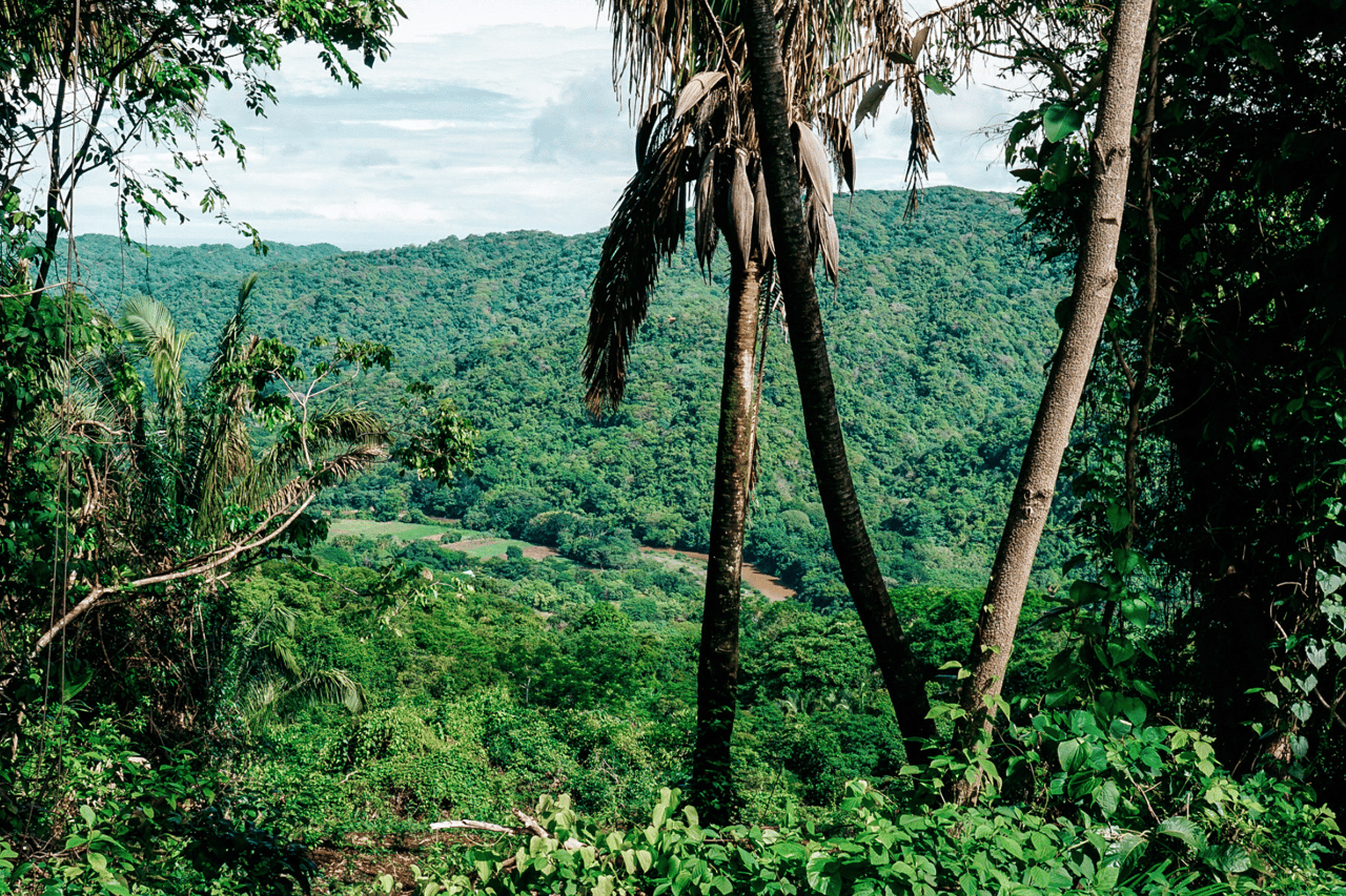 Finca Tremblade - 170 Acre Jungle And Oceanview Development In Nosara